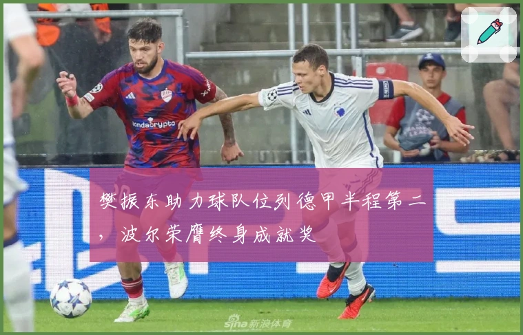 樊振东助力球队位列德甲半程第二，波尔荣膺终身成就奖