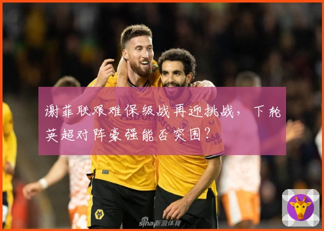谢菲联艰难保级战再迎挑战，下轮英超对阵豪强能否突围？