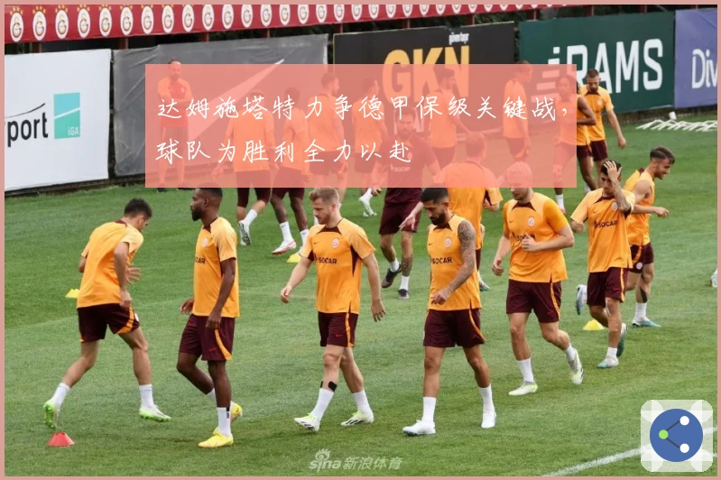 达姆施塔特力争德甲保级关键战，球队为胜利全力以赴